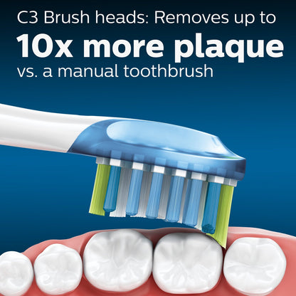 C3 Brush